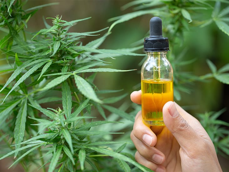 cbd oil uses